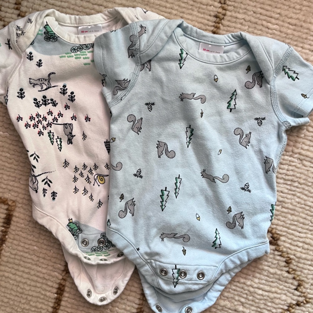 Hanna Andersson pair of onesies